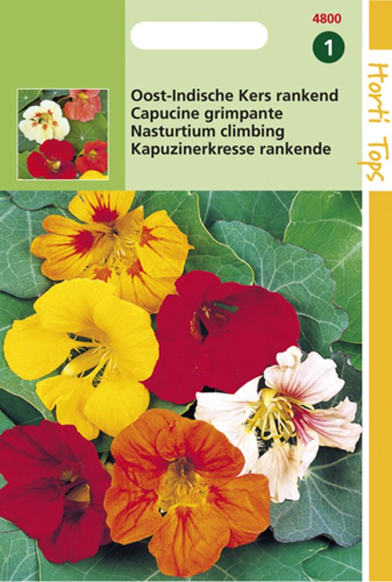 Garden nasturtium single flower mix  (Tropaeolum) 24 seeds